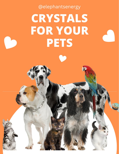 Crystals for your pets
