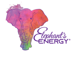 Elephant's Energy
