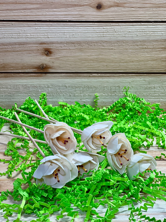 Flower Diffuser Reeds