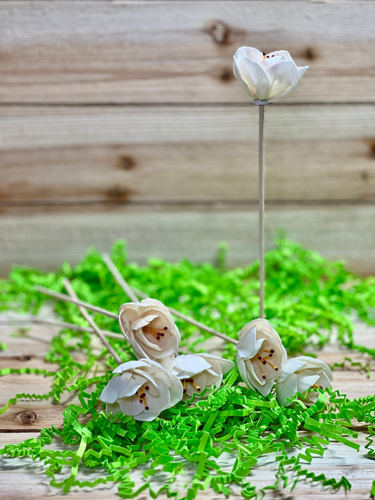 Flower Diffuser Reeds